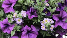 Designer Containers -- April 15