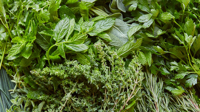 Herbs with Chef Josiah - May 20