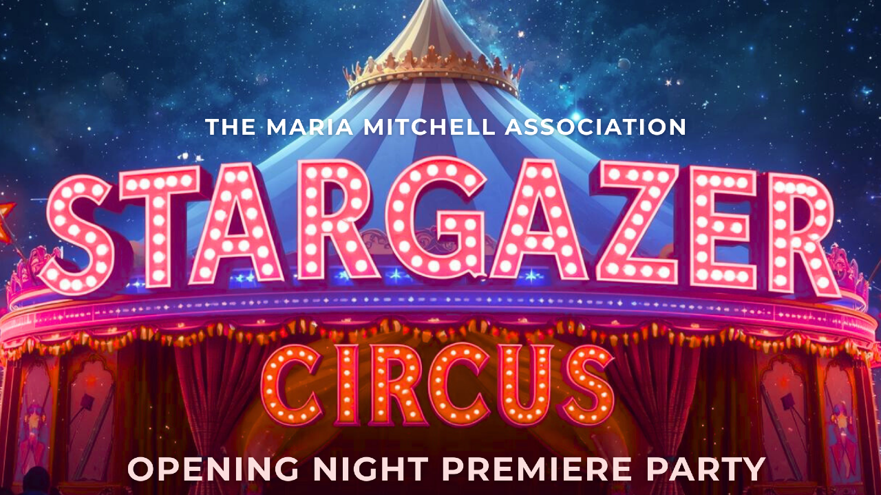 The Stargazer Gala - A Night at the Circus
