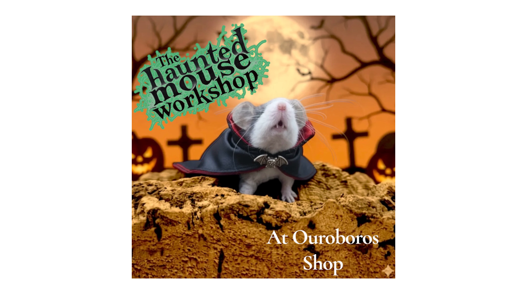 The Haunted mouse workshop