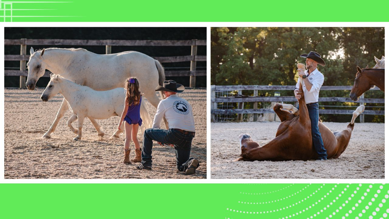 Horses Of The Bluegrass: Australiana Edition